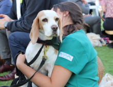fundación tregua, vínculo humano-animal, perros de terapia